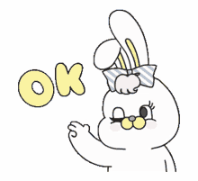 rico bunny okay wink