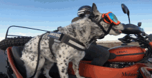 dog test drive motorcycle road trip sidecar