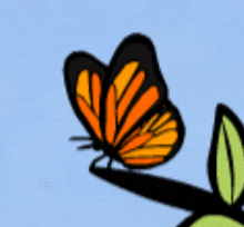 Beautiful Butterfly GIF