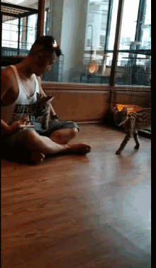 a man sitting on the floor playing with a kitten wearing a tank top that says ' i love ny ' on it