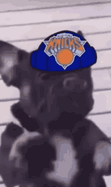 Knicks Knicks Dog GIF