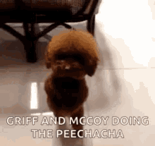 Pee Griff And Mccoy GIF - Pee Griff And Mccoy Doing The Peechacha GIFs