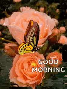 Good Morning Roses GIF - Good Morning Roses Butterflies GIFs