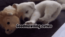 Dog Cute GIF - Dog Cute Goodmorning GIFs