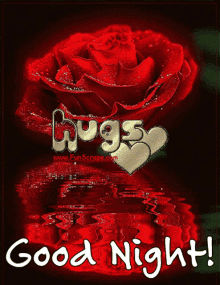 Goodnight Rose GIF - Goodnight Rose Flower GIFs