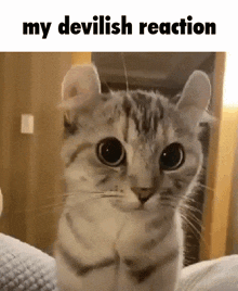 Devilish Reaction GIF - Devilish Reaction GIFs
