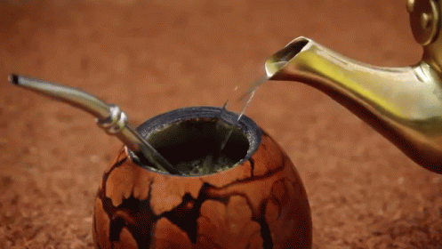 yerba mate