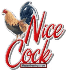Nice Cock GIF - Nice Cock GIFs