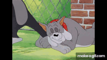 Tom And Jerry Spike GIF - Tom And Jerry Spike Bone GIFs