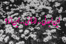 a black and white photo of flowers with the words i-arabic in pink
