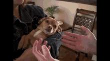 Stay Away From Me! GIF - Bath Time Puppy GIFs