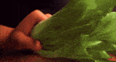 a close up of a person holding a lettuce leaf in their hands .