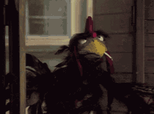 muppets muppet show western chicken rooster