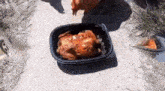 Chicken Meme GIF - Chicken Meme GIFs