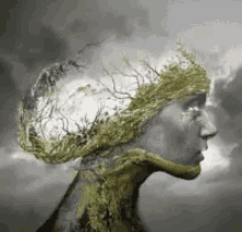 Surreal Images GIF