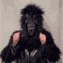 Gorila Gorilla GIF - Gorila Gorilla Dustin GIFs