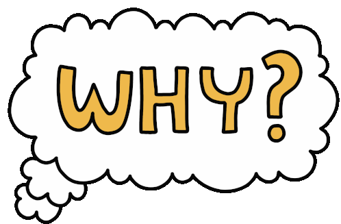 Why Question Sticker - Why Question Porque Stickers