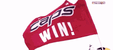 Washington Capitals Slapshot GIF - Washington Capitals Slapshot Caps Win GIFs
