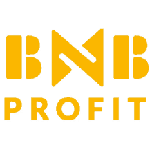 profit bnb
