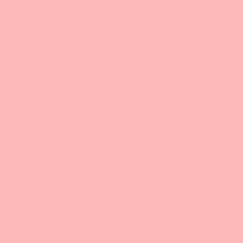 a pink background with white daisies and a message that says " not every mint is fresh "