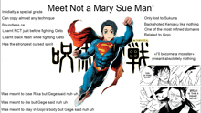 a poster that says meet not a mary sue man on the top