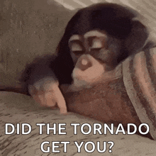 a chimpanzee is laying on a bed with its eyes closed and pointing at something .