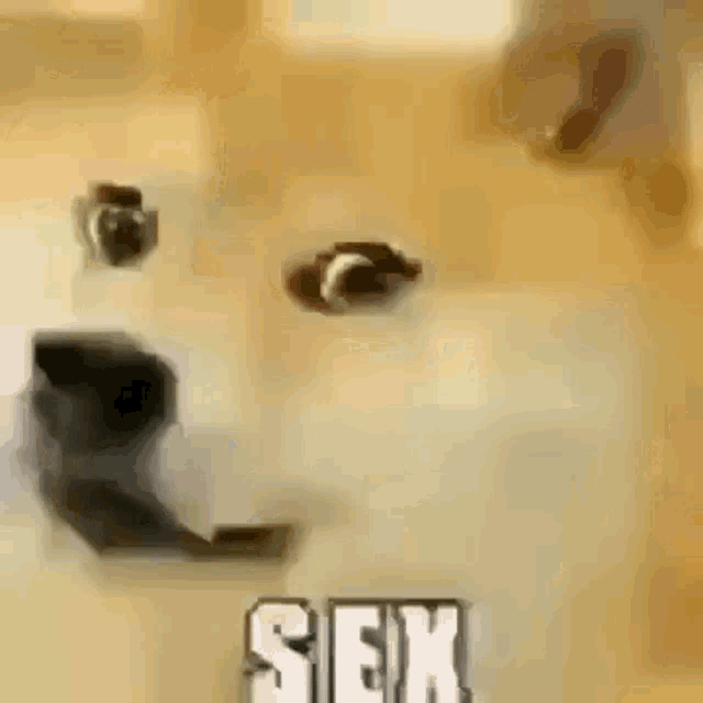 дог секс 