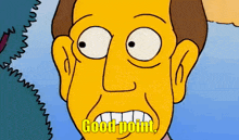 The Simpsons Principal Skinner GIF - The Simpsons Principal Skinner Good Point GIFs