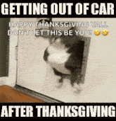 After Thanksgiving After Dinner GIF - After Thanksgiving After Dinner Thanksgiving Jokes GIFs