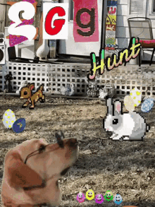Easter Egg GIF - Easter Egg Hunt GIFs
