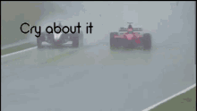 F1 Cry GIF - F1 Cry About GIFs