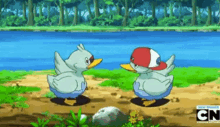 Ducklett Pokemon GIF - Ducklett Pokemon High GIFs