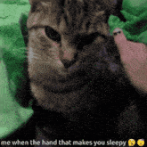 a person petting a cat with the caption " me when the hand that makes you sleepy " on the bottom