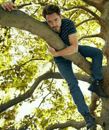 a man in a striped shirt is sitting in a tree branch