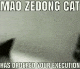 Cat Execution GIF - Cat Execution Mao Zedong GIFs