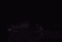 Awesome Loggerhead GIF - Awesome Loggerhead Turtle GIFs