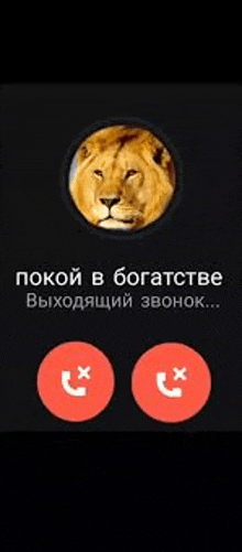 a picture of a lion in a circle with two red buttons on it .