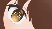 a close up of a person 's eye with a spiral in the center