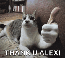 a cat giving a thumbs up with the words thank u alex
