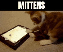 Mittens Chess GIF - Mittens Chess Bot GIFs