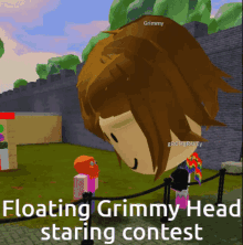floating grimmyland head roblox funny