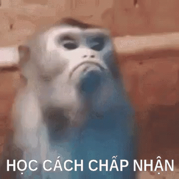 Ghen Tị GIF - Con Khỉ Ghen Tỵ Học Cách Chấp Nhận GIFs