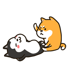 Husky And Shiba 二哈萌柴2微信表情 Sticker - Husky And Shiba 二哈萌柴2微信表情 Slap Stickers