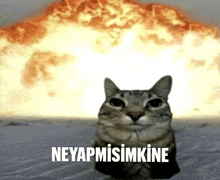 a cat is standing in front of an explosion with the words neyapmisimkine written on the bottom .