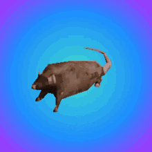 rat spinning rat trippy acid meme
