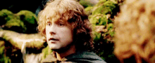 Lord Of The Rings Lotr GIF - Lord Of The Rings Lotr Smile GIFs
