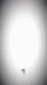 a drawing of a rose in the middle of a circle