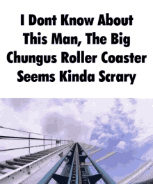 big chungus roller coaster kinda scary dont know about this unsure