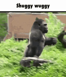 Shuggy Wuggy Gorilla GIF - Shuggy Wuggy Gorilla Running GIFs