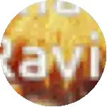 a blurred image of a circle with the word navi on it